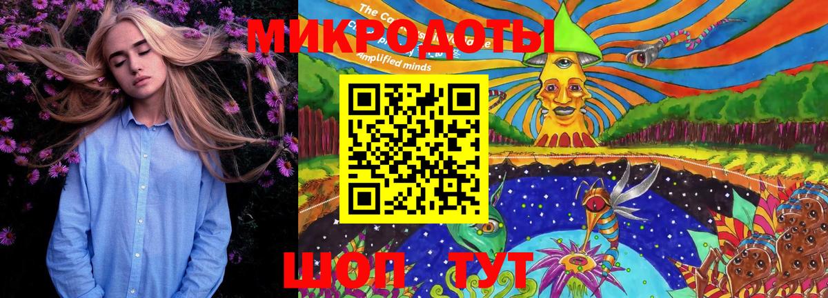 Галлюциногенные грибы Psilocybe Красногорск