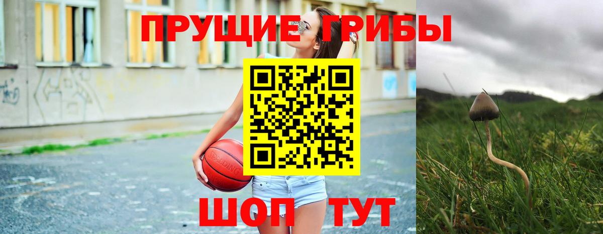 купить наркоту  Псилоцибиновые грибы ЛСД  Вход с VPN  Красногорск 