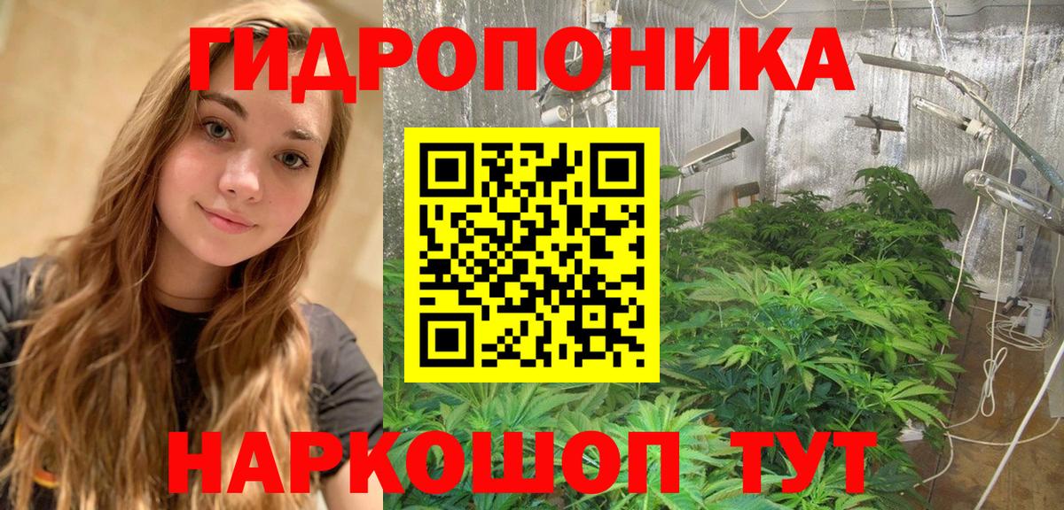 Канабис гибрид  Конопля семена  Бошки марихуана марихуана  Красногорск  Вход с VPN  Марихуана VHQ 